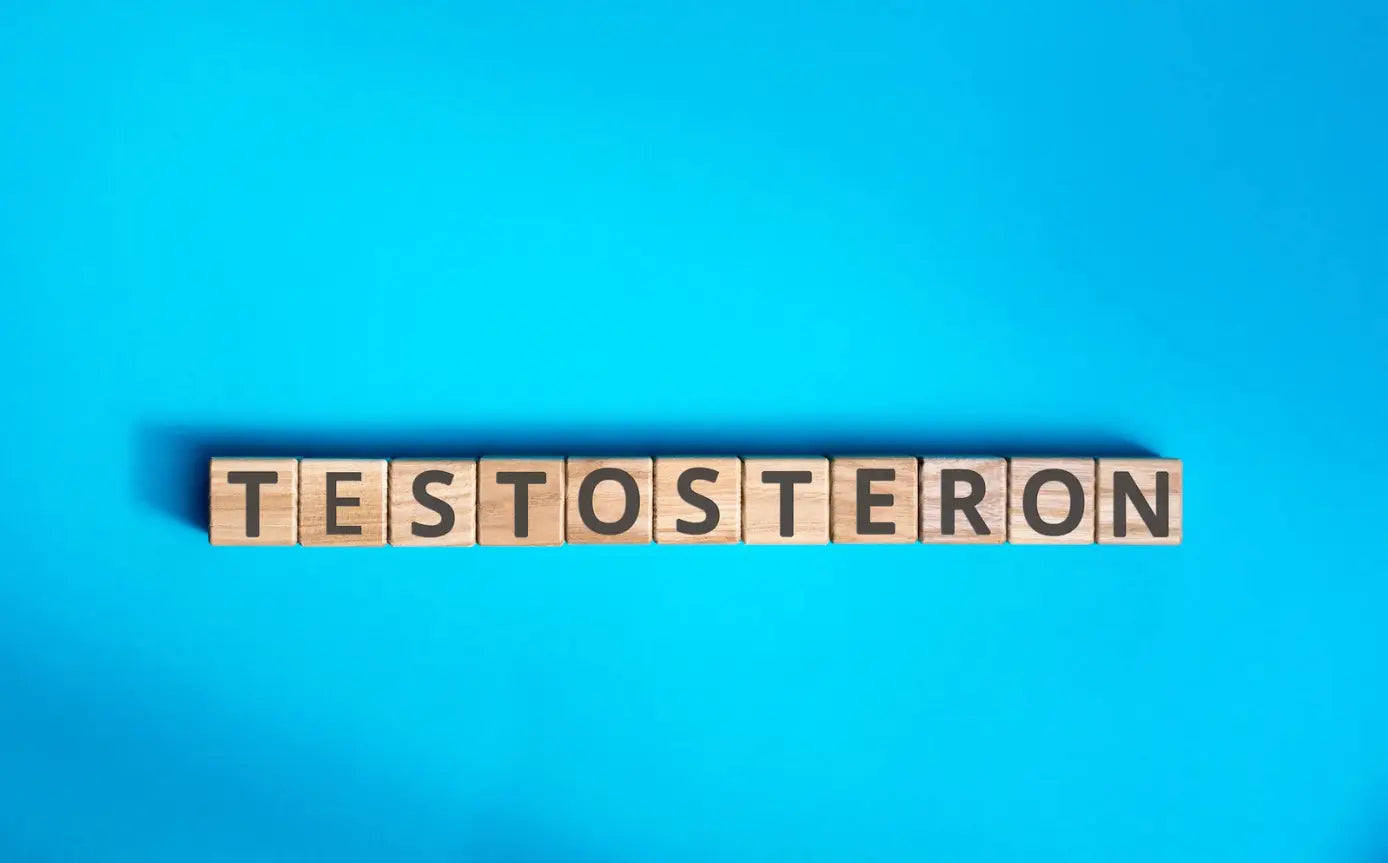 Unlocking Your Peak Performance: The Modern Man’s Guide to Energy, Vitality & Recovery