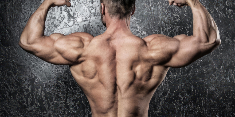 Strength & Muscle Support