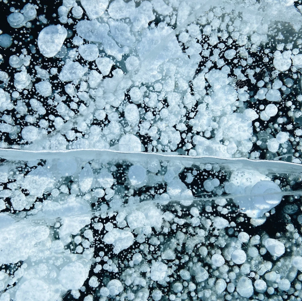 Ingredient image